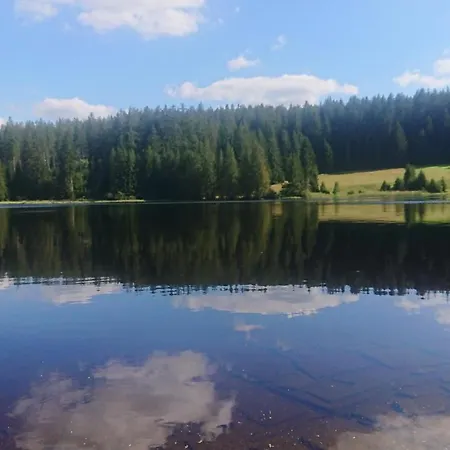 Novohradky 22