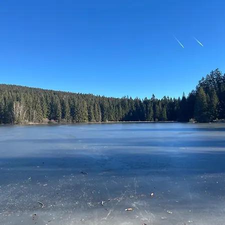 Novohradky 22 Appartamento