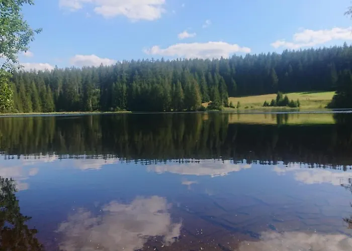 Novohradky 22